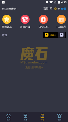 MSħʯapp���ؽ�ͼ1