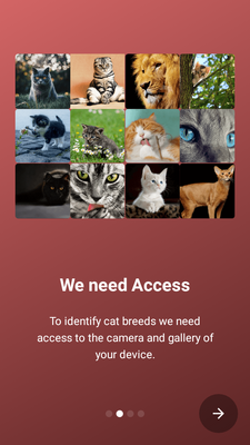 è�������CatScanner���°��ͼ4