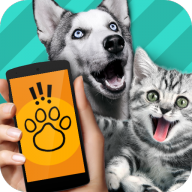 �������Է�����(Pet Translator)V1.1 ��׿�ֻ����°�