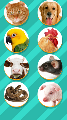 �������Է�����(Pet Translator)��ͼ2