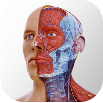 完整解剖学2022软件8.0.1 安卓最新版