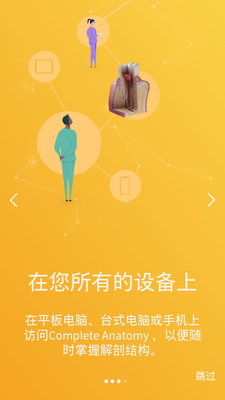 ��������ѧ2026����(complete anatomy 2023)��ͼ4