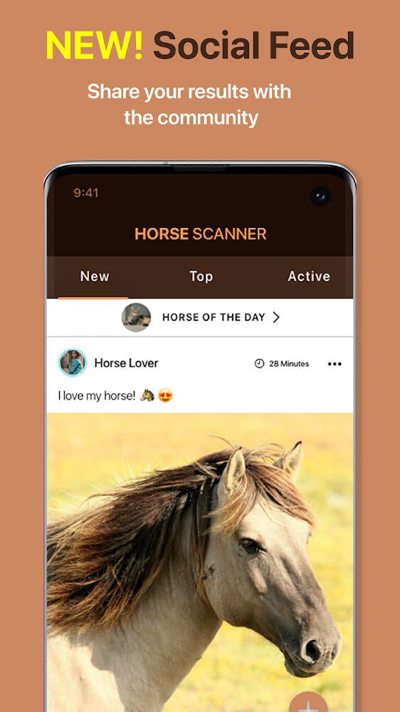 (Horse Scanner)