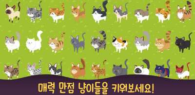 ��������Neko Cafe���ν�ͼ0