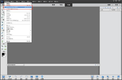 Photoshop Elements 2022��ɫ���ͼ0
