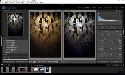 Adobe Lightroom Classic2022��ɫ���ͼ3