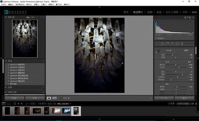 Adobe Lightroom Classic2022��ɫ���ͼ2