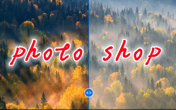 photo shop�ϼ�