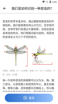 ����ʶ������picture insectרҵ��Ѱ��ͼ0