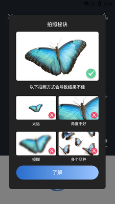 ����ʶ������picture insectרҵ��Ѱ��ͼ3