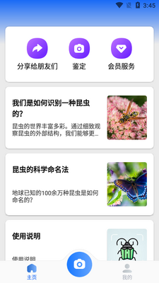 ����ʶ������picture insectרҵ��Ѱ��ͼ1
