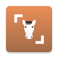 马鉴定器(Horse Scanner)12.1.0-G 安卓高级版
