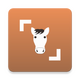 ��������(Horse Scanner)12.1.0-G ��׿�߼���