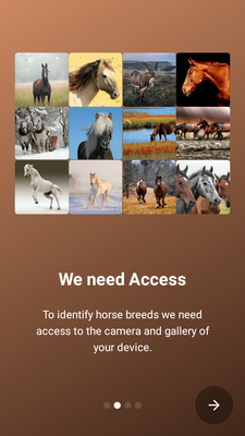 ��������(Horse Scanner)��ͼ3