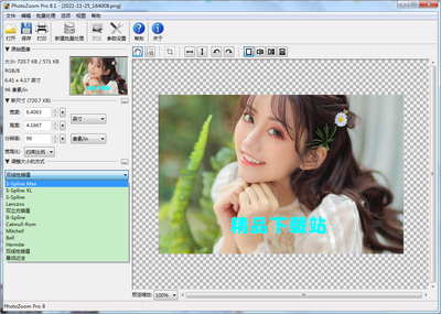 PhotoZoom8רҵ��Ѱ��ͼ0