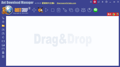 ����������רҵ��(Ant Download Manager PRO)��ͼ2