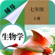 ���꼶�ϲ����︨��appv1.6.6���°�