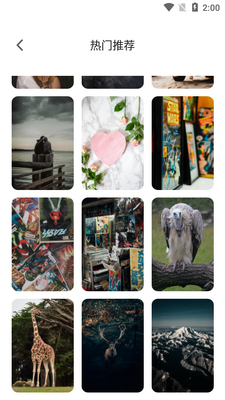 ������ֽapp��ͼ2
