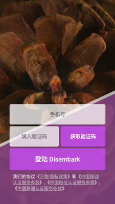 �����ͼ3