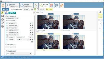 Duplicate Cleaner Pro破解版截图2