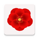 �����ر�ֽapp1.0���°�