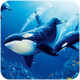 ����ģ�����ƽ��1.0.3 ���޽�Ұ�