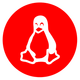 linux commands��1.6.11 �߼�רҵ��