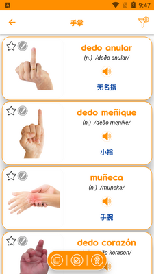 ѧ��������ES Vocabulario�߼����ͼ1