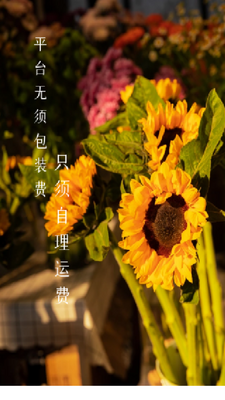 �������ʻ�����app��ͼ3