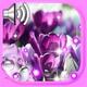 ���컨֮����ֽapp1.9���°�