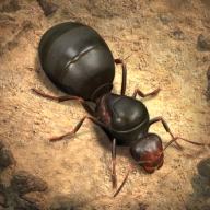 蚂蚁地下王国游戏v1.48.0最新版