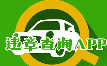 Υ�²�ѯapp�ĸ�����_��ʻ֤Υ�²�ѯapp_����Υ�²�ѯapp