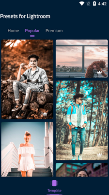 lr presets�߼����ͼ4