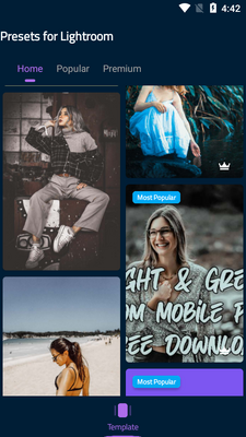 lr presets�߼����ͼ2