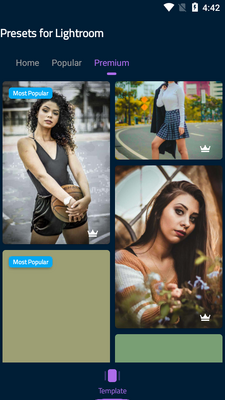 lr presets�߼����ͼ3