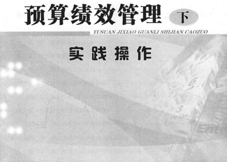 预算绩效管理下实践操作pdf电子版下载-预算绩效管理下实践操作免费在线阅读