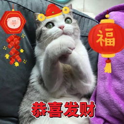 ��Ϧ��һ����������������ͼƬ��ȫ������ˮӡ�ϼ���