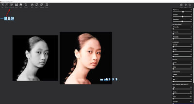 Picture Colorizer(ͼƬAI������ɫ)��ͼ2