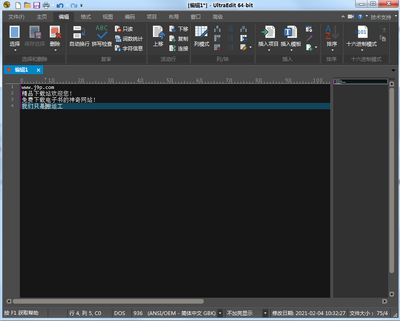 IDM UltraEdit��ɫ��Ѱ��ͼ2