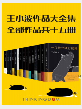 王小波全集套装15册电子书免费下载