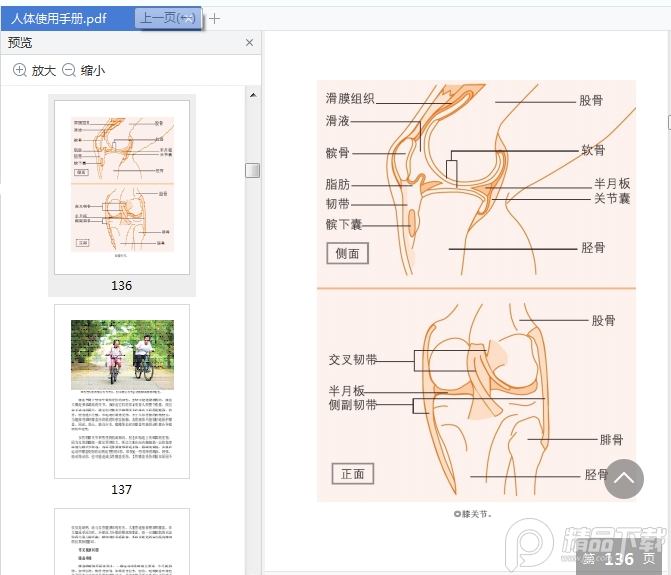 人体使用手册完整版电子书免费下载-人体使用手册彩图白金版pdf免费在线阅读高清全彩版插图(3)