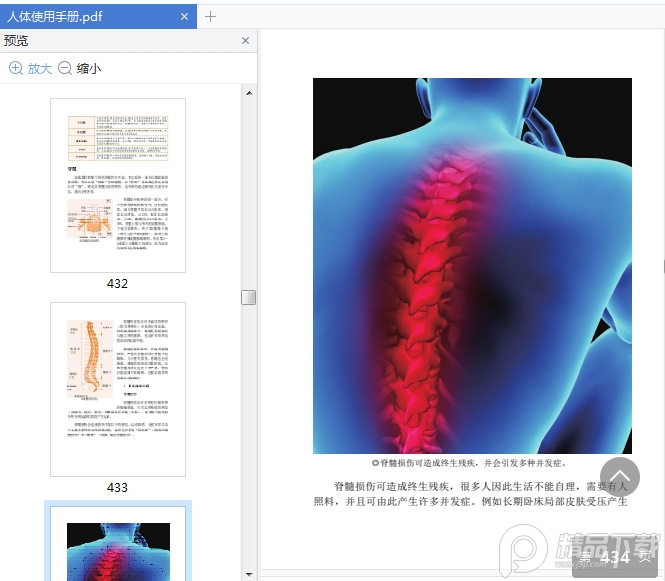 人体使用手册完整版电子书免费下载-人体使用手册彩图白金版pdf免费在线阅读高清全彩版插图(6)