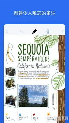 notability������ͼ3