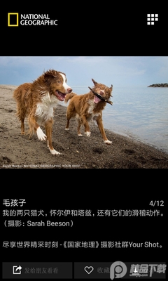 ���ҵ���ÿ�վ�ѡ������ͼ4