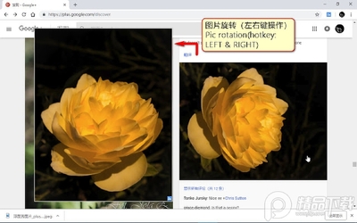 浮图秀插件(图片浏览)最新版截图0