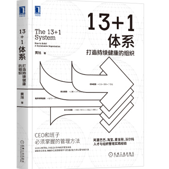 13+1体系:打造持续健康的组织PDF电子书下载免费版