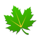 ��ɫ�ػ�2026���������°�app5.1.1��׿���°�