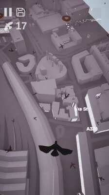 鸽子爱情故事手游免付费版截图2