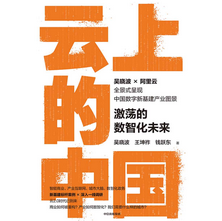 云上的中国:激荡的数智化未来pdf免费阅读