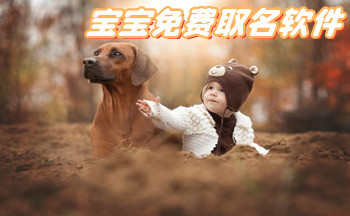 ���������������ȡ��_ȡ���ִ�ȫ��Ѳ�ѯ_����Զ�ȡ��������